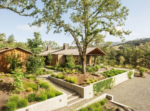 Great Summary of 3D Landscaping