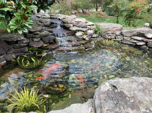 Koi Pond Filtration Systems: Which One Is Best?